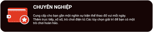 CHUYÊN NGHIỆP
